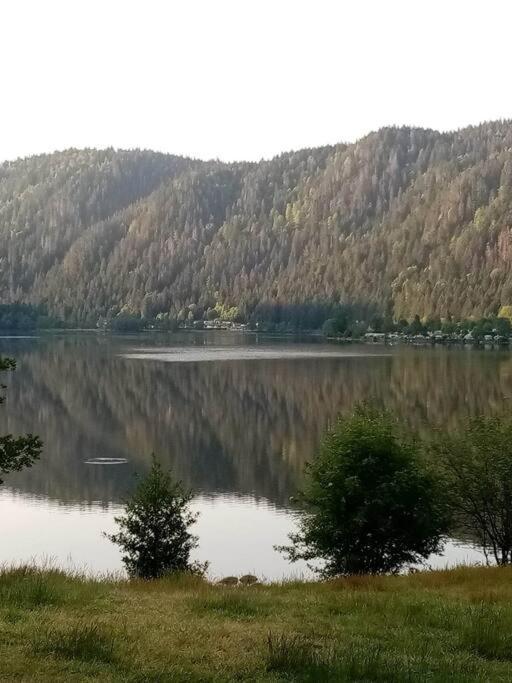 Vacances Xonrupt-Gerardmer 外观 照片